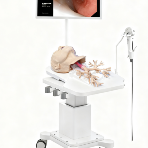 Bronchoscopy Training System）