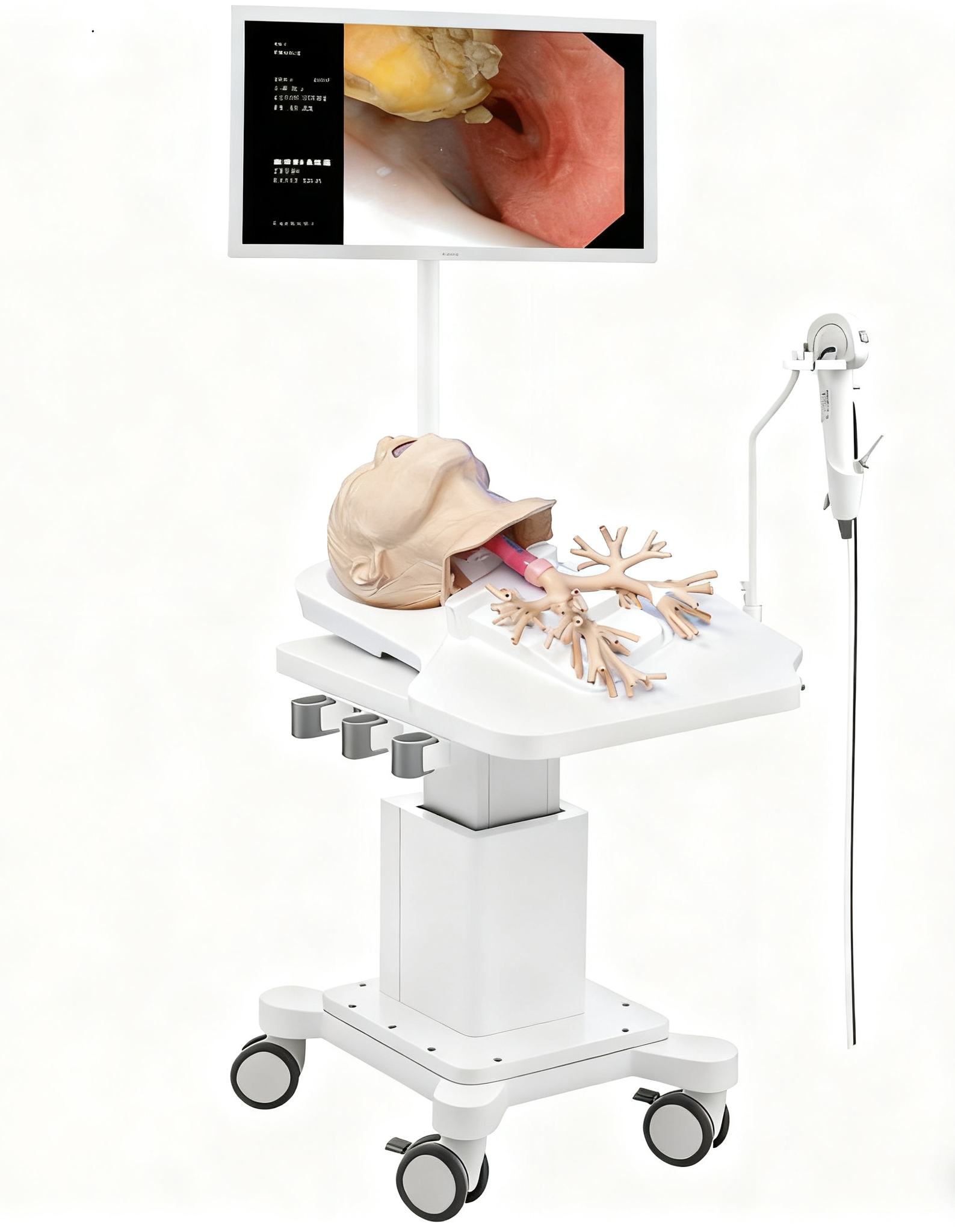 Bronchoscopy Training System)