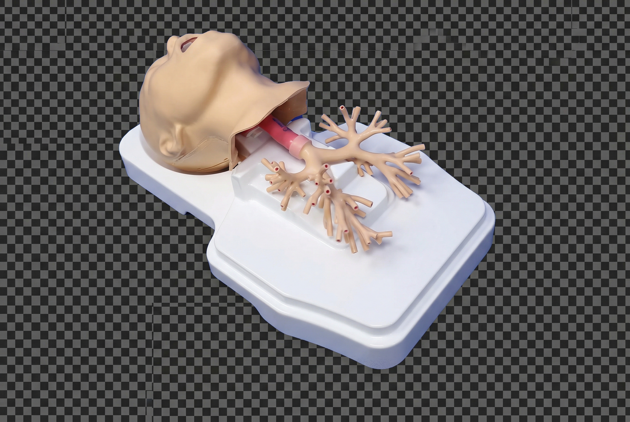 Bronchoscopy Skills Training System - 图片 2